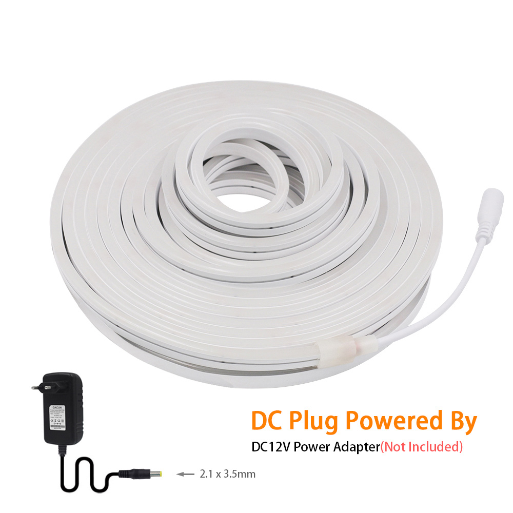 DC 12V LED Neon Strip Light Ne - Decor Lighting Hours recensione e prezzo