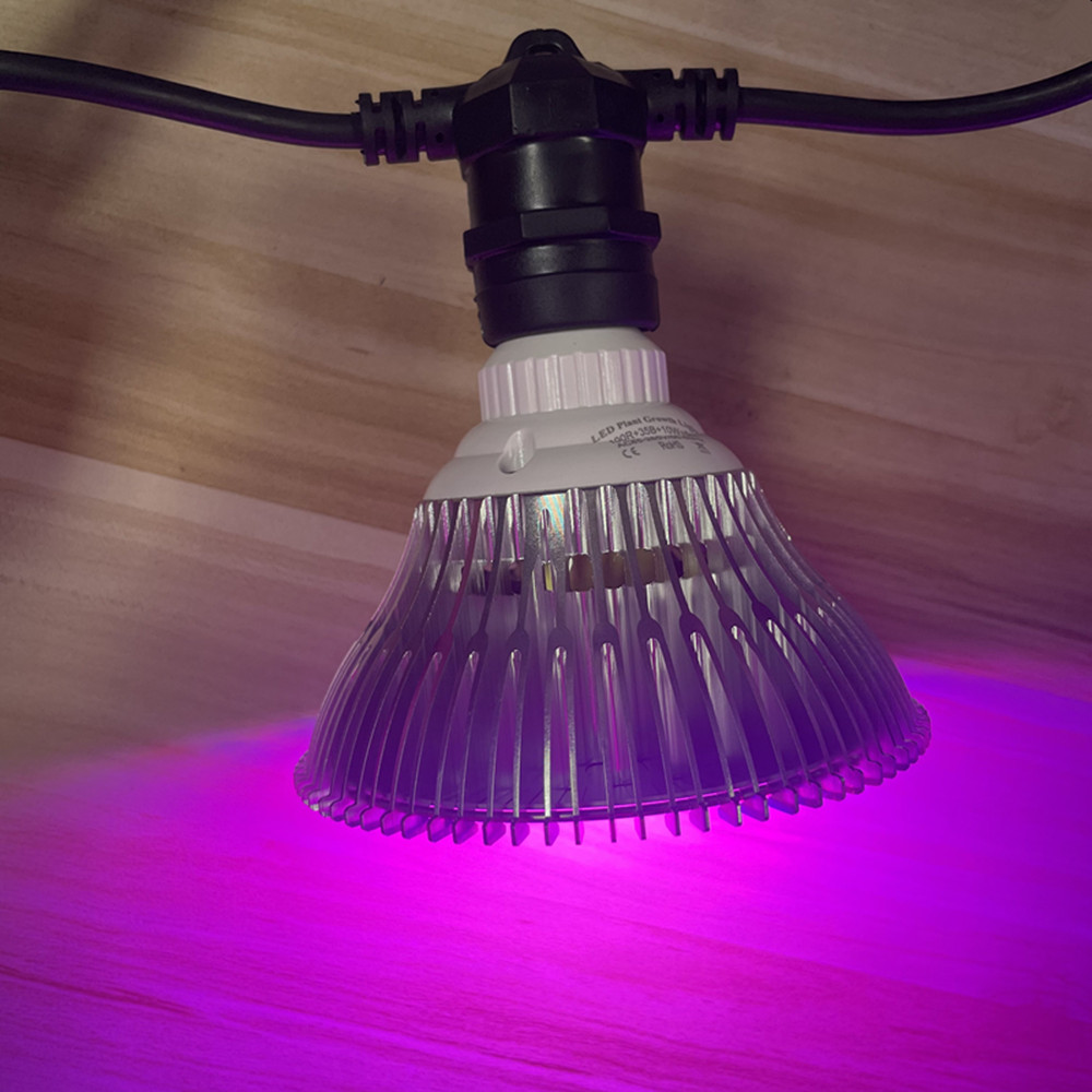 Cavo LED da 10 m, impermeabile - Lighting Decor Wedding recensione e prezzo